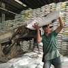  越南将向菲律宾出售13万吨大米 2018年大米出口量有望达650万吨