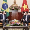 巴西外长对越南进行正式访问