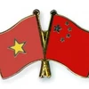 芹苴市越中友好协会努力发挥两国友谊的桥梁作用
