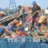欧委会开始对越南“打击IUU非法捕捞”措施落实情况进行检查