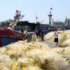岘港市继续加大力度防范非法捕捞行为