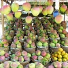 越南安江省首批“三色”芒果进军澳洲市场