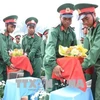 嘉莱省举行在柬牺牲的烈士遗骸安葬仪式