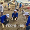 1000余名青年团员响应“绿色越南海洋运动”号召投身净化海洋行动中