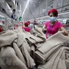越南纺织品服装保持传统出口市场的稳定增长