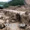 暴雨洪灾给北部山区各省造成经济损失达1410亿越盾