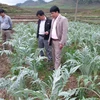 河江省管簿县开发与利用药材资源来提高居民生活水平