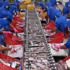 VASEP：越南应加强对出口到中国的查鱼产品质量的监管