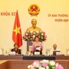 越南国会主席阮氏金银在会议上发表结论性讲话。（图片来源：越通社）