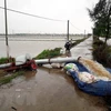 各省继续开展第三号台风后救灾工作