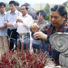 越南国会副主席丛氏放向陈富总书记陵墓献花上香
