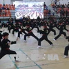 第五届胡志明市国际传统武术节吸引国内外98支武术团参加