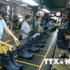 越南皮革制鞋业及箱包出口额持续大幅增长