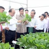 政府总理阮春福探访林同省绿色蔬菜生产模式
