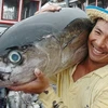 今年上半年越南金枪鱼出口增速反弹