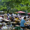 越南在第22届柏林国际啤酒节推广风土人情