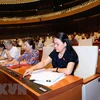 越南国会通过有关2019年法律法令制定计划和2018年法律法令制定计划调整方案的决议