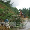 自然灾害继续对越南各地造成重大损失