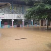 台风“贝碧嘉”对泰国造成严重损失