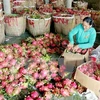 中国一直是越南农产品颇具潜力的市场