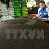 今年前8个月越南胡椒出口量增长3.2%