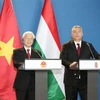 越南与匈牙利发表联合声明 建立全面伙伴关系