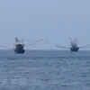 巴地头顿省大力宣传国际渔业法律法规 全面提高渔民守法意识