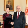 越南国会主席阮氏金银与土耳其议会议长比纳利·耶尔德勒姆举行会谈
