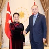 越南国会主席阮氏金银会见土耳其总统埃尔多安