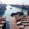 承天顺化省努力发挥水产品养殖和海产品捕捞的优势