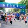 2600多名运动员参加河内国际遗产马拉松赛