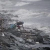 菲律宾台风“玉兔”登陆 万人被迫疏散