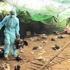 越南富安省发现一处H5N6禽流感疫情区