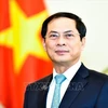 越南外交部常务副部长裴青山会见旅德越南人群体