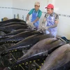越南金枪鱼颇受中东消费者的青睐