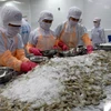 越南白脚虾对欧盟的出口保持上升态势