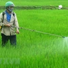 中国是越南农药及原材料的主要来源地
