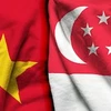 进一步加强越南与新加坡的经济与文化对接