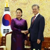 越南国会主席阮氏金银会见韩国总统文在寅