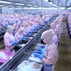 越南虾类产业充分利用深加工优势