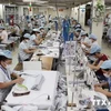 越南与印度进一步促进纺织品贸易