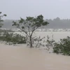 越南中部洪灾致6人死伤失踪，当地经济损失严重