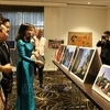 越南磨漆画和摄影作品亮相澳大利亚