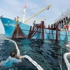 解除IUU黄牌警告：永久性撤销侵犯国外海域越南渔船的营业执照
