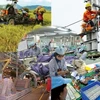 越南政府颁布2018年经济社会发展决议