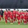  越南连续18场不败创纪录 首次跻身国际足联世界排名TOP100