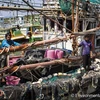 泰国脱离欧盟“预备非法捕鱼国”黑名单 