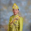 马来西亚国王宣誓就职