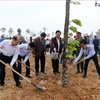 富寿和宁平等省举行植树活动启动仪式
