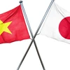 建立健全的越南——日本合作框架内的越南工业化战略指导委员会